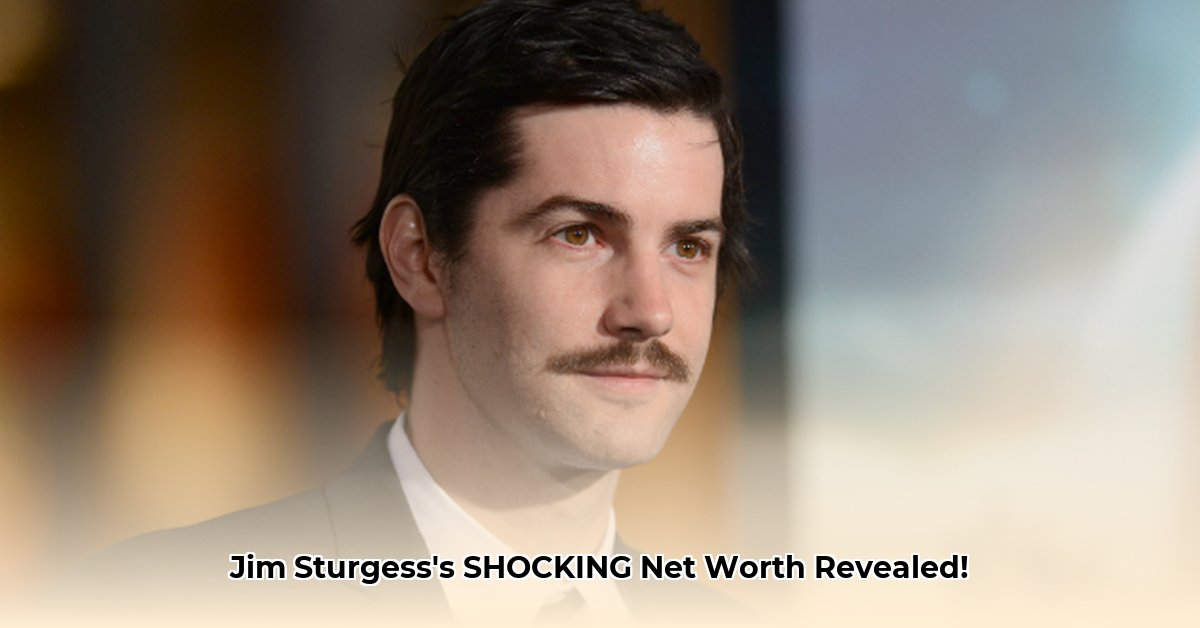 jim-sturgess-net-worth